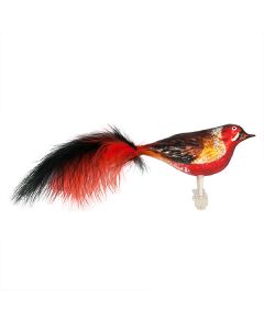 Bird, red-black with feathers